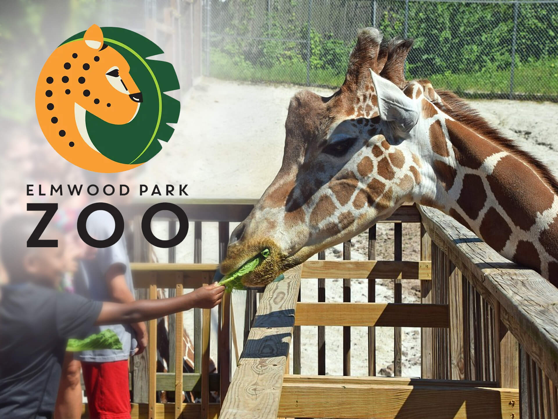 Elmwood Park Zoo